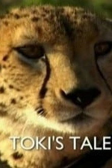 Toki's Tale