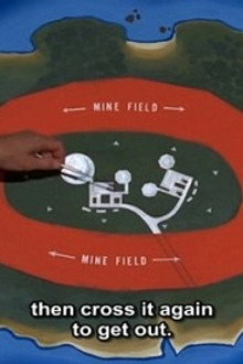 The Field