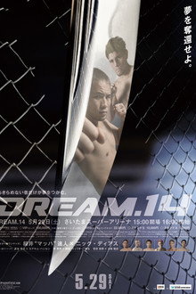 DREAM 14 poster