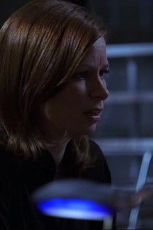 Day 6: 7:00 P.M.-8:00 P.M.