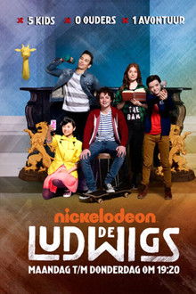 De Ludwigs poster