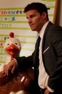 The Beaver in the Otter