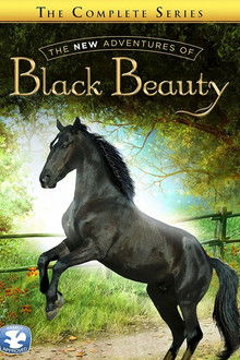 The New Adventures of Black Beauty poster