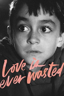Love Is Never Wasted poster