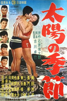 Season of the Sun poster