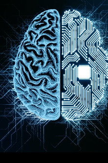 NOVA Wonders Can We Build a Brain?