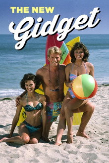 The New Gidget poster