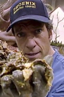 Parade Float Dismantler