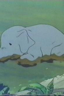 The Jungle Adventure