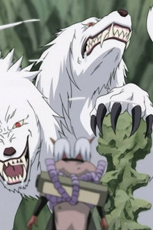 Roar and Howl! The Ultimate Tag-Team!