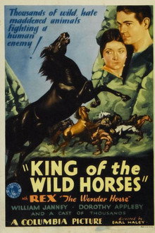 King of the Wild Horses poster