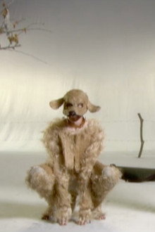 Laddy and the Lady poster