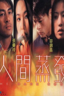 The Dark Rose poster