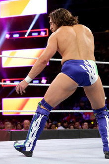 The Miz vs. Daniel Bryan