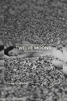 Twelve Moons poster