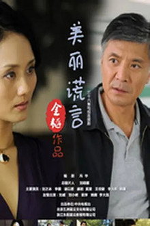 美丽谎言 poster