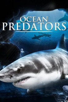 Ocean Predators poster
