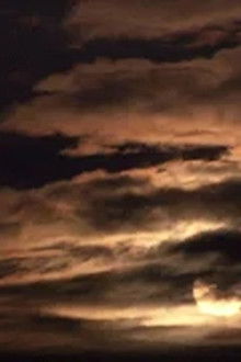 Secrets From the Grave