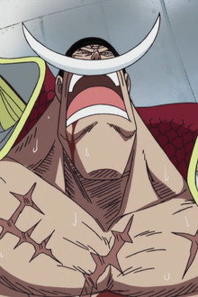Moving into the Final Phase! Whitebeard's Trump Card for Recovery!