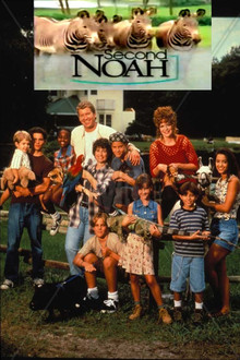 Second Noah poster