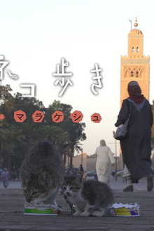 Marrakesh, Morocco