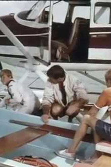 An Errand for Flipper