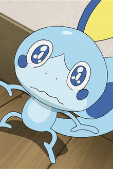 Sobbing Sobble!