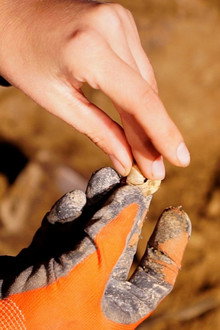 Mystery of the Lost Civilization