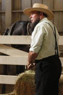 The Plain in the Prodigy