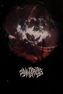 Grey at Night poster