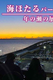 Umihotaru Parking Area: Year-End Viewpoint