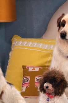 The Puppies Talk