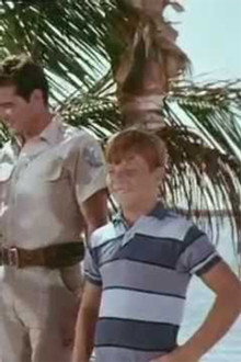 Flipper and the Horse Thieves