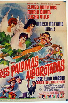 Tres palomas alborotadas poster