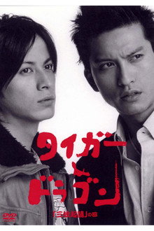 Tiger and Dragon poster