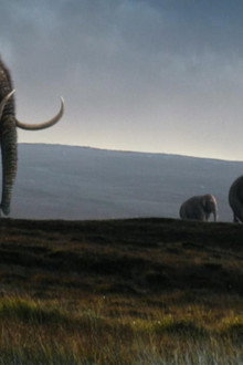 Great Mammoth Mystery