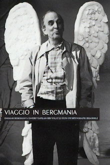 Viaggio in Bergmania poster