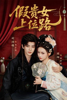 假贵女上位路 poster