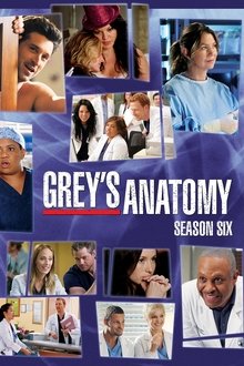 Grey’s Anatomy (2009) Season 6