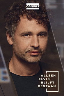 Alleen Elvis blijft bestaan poster