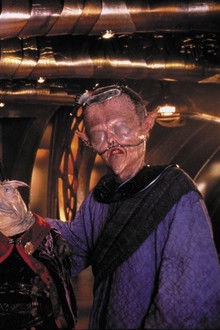 Crackers Don't Matter