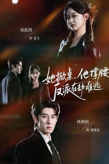 她掀桌，他撑腰，反派在劫难逃 poster