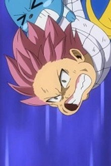 Celestial Spirit Beast
