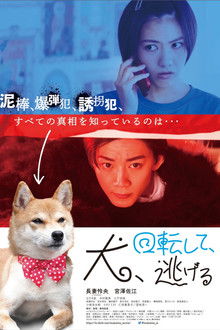 Dog Turns and Runs Away poster