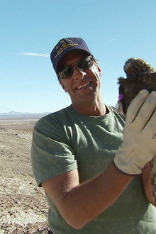 Mud Mineral Excavator