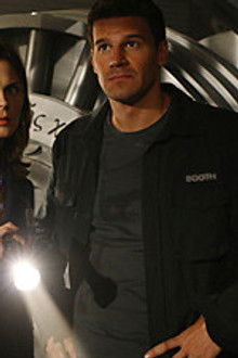 The Widow's Son in the Windshield