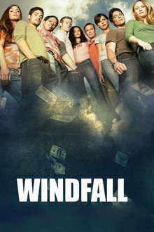 Windfall poster