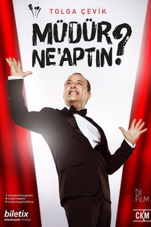 What Did You Do, Boss? poster