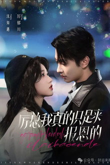 Mr. Li, I Really Just Came Here to Repay the Favor poster