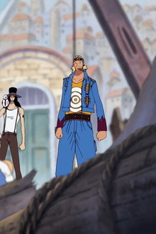 The Straw Hat Pirates are the Culprits? The Protectors of the City of Water!